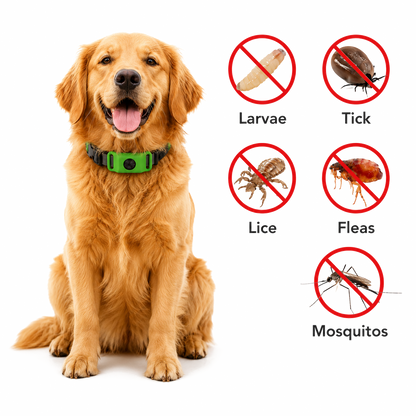 PawLife™ - All Natural Flea & Tick Tag