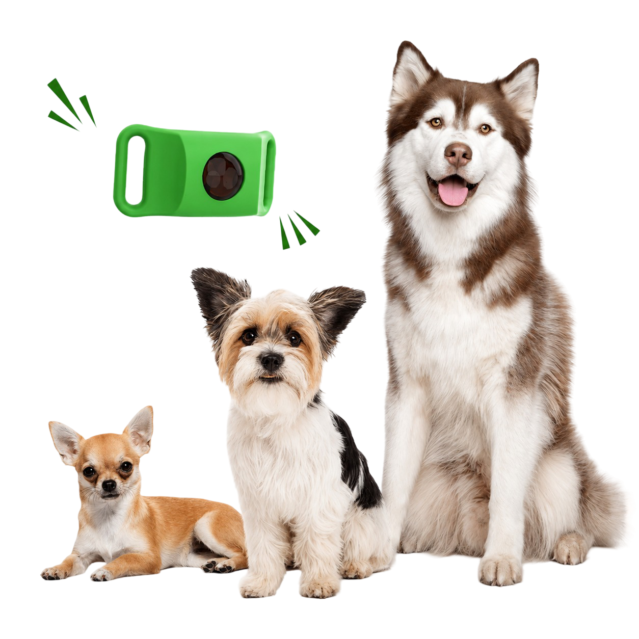 PawLife for all dogs
