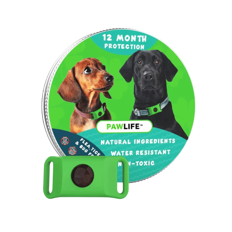 PawLife™ Tag and Capsule