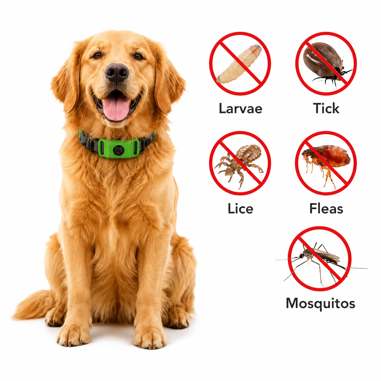 PawLife protection