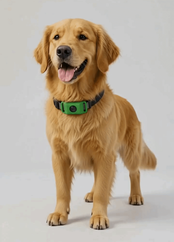 PawLife tag